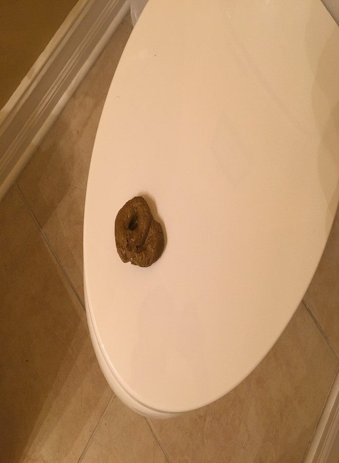 SummitLink Realistic Gross Party Pooper Fake Poo Dog Poop Novelty Toy Brown Birthday Prank Toy Novelty Gift Joke New - Image 5